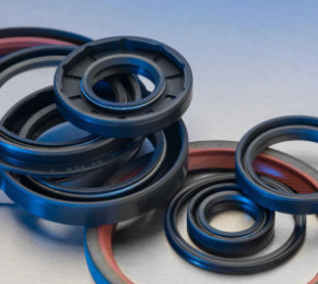Oil seals