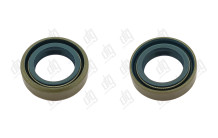 Сальник 15*24,12*7 (0AM2)