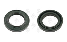 Ремонтний сальник 19,5*30*5/6 (1PM)