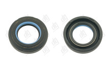 Сальник 24*41,2*8,5 (7V2)