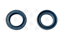 Сальник 20*30*5/6 (1PM)