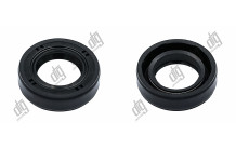 Сальник 17*29*8 (1PM)