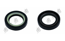 Сальник 25*38,15*7 (7V2)