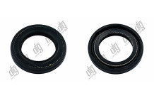 Сальник 24*36*5,3/5,9 (1PM)