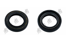 Сальник 20*30*5,3/6,2 (1PM)