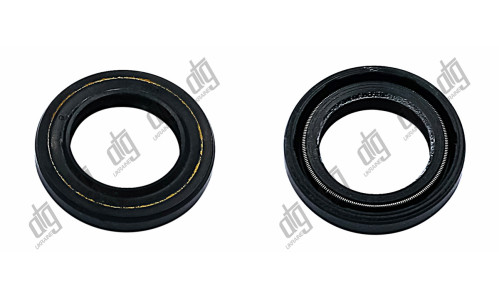 Сальник 20*30*5,3/6,2 (1PM)