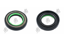 Сальник 31*51*8,5 (7V2)