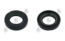 Сальник 30*50*9/10 (7V1PM)