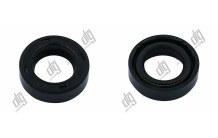 Сальник 15*24*7/7 (1PM)