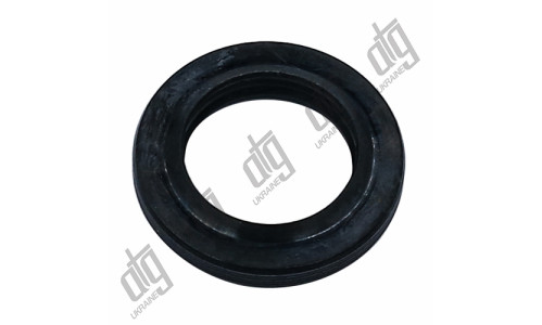 Сальник 19*29*4,4/6,3 (1PM)