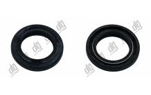 Сальник 19*29*4,4/6,3 (1PM)