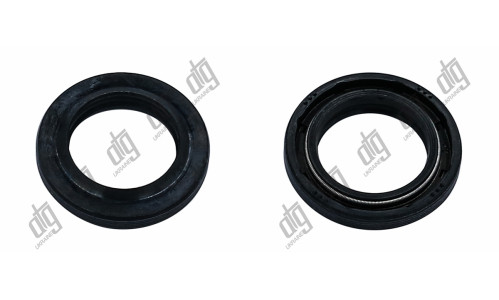 Сальник 19*29*4,4/6,3 (1PM)