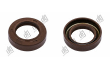 Сальник 21*33*8/9,5 (1PM)