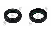 Сальник 27,7*42,1*9/10 (7V1PM)