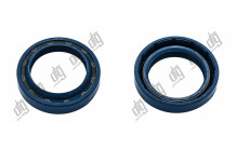 Сальник 28*40*8/10,5 (1PM)