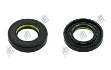 Сальник 23*41*8,5 (7V1)