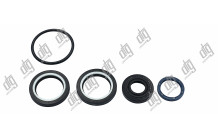 Ремкомплект рульової рейки Citroen Jumper III 2006-; Peugeot Boxer III 2006-; Fiat Ducato IV 2006-