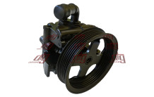 Насос ГПК Ford Tourneo Connect 2006-/ Transit Connect 2002-