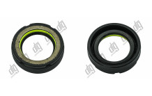 Сальник 25*38,2*10 (7V1)