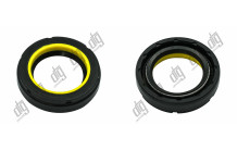 Сальник 24*36,5*8,5 (7V2)