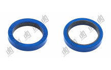 Сальник 23*30*3,7/5,1 (12)