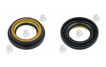 Сальник 25*37,8/41,6*4,5/9,6 (6V1)