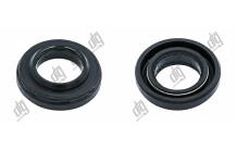 Сальник 19*32*6/8,5 (1PM)