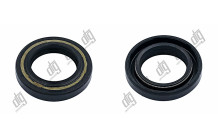 Сальник 21*33*5,5/7 (1PM)