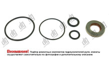 Ремкомплект насоса ГПК Saginaw (19mm)