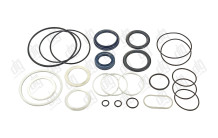 Ремкомплект насоса ГПК Omega ZF