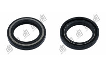 Сальник 28*40*5,5/7,5 (1PM)