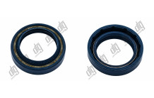 Сальник 28*40*8/10,5 (1PM)