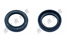 Сальник 30*43*8/9,5 (1PM)