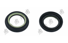 Сальник 31*43,7/48*4/8,3 (6V2)