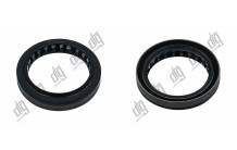 Сальник 38*50*8/9,5 (1PMA)