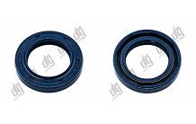 Сальник 20*30*5/6 (1PM)