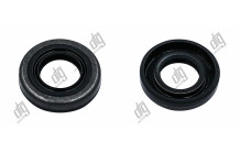 Сальник 15*28*6,2/6,3 (1PMA)