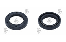 Сальник 20*30*5/6 (1PM)