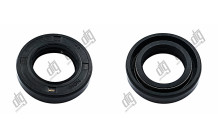 Сальник 19*30*6,4 (1PM)