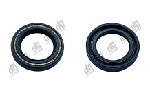 Сальник 22*32*5/6 (1PM)