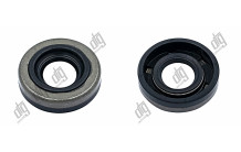 Сальник 10*22*6 (0MA)