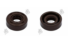 Сальник 10*22*7/8 (1PM)