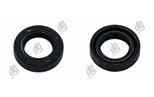 Сальник 15*24*6 (1PM)