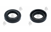 Сальник 15*25*5,5 (1PM)