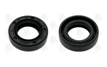 Сальник 15*25*7/7 (1PM)