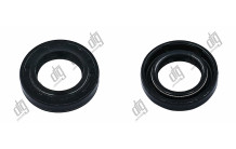 Сальник 16*26*5,2/6,2 (1PM)