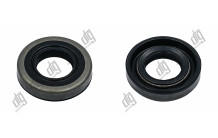 Сальник 16*30*6,25 (1PMA)