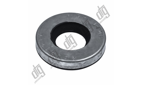 Сальник 17*36*6,6 (0MA)