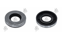 Сальник 17*36*6,6 (0MA)