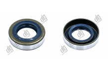 Сальник 18*32,1*8/8,5 (1PMA)